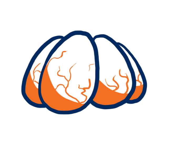 Denver Broncos Oysters Logo iron on transfers